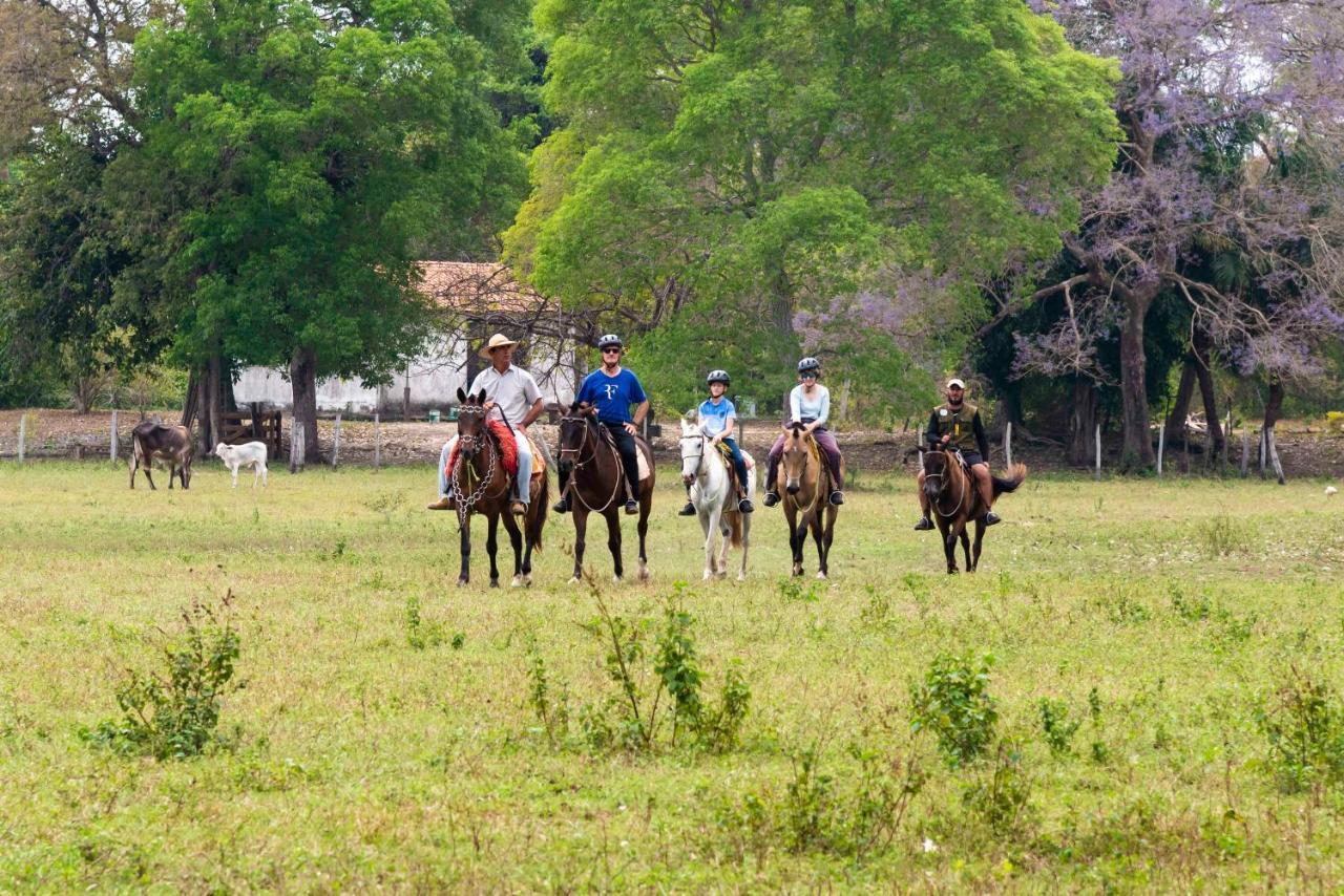 Pousada Fazenda Xaraes Todos os Santos Εξωτερικό φωτογραφία