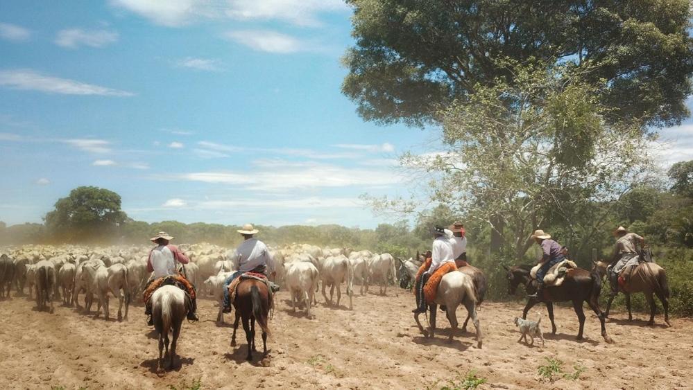 Pousada Fazenda Xaraes Todos os Santos Εξωτερικό φωτογραφία