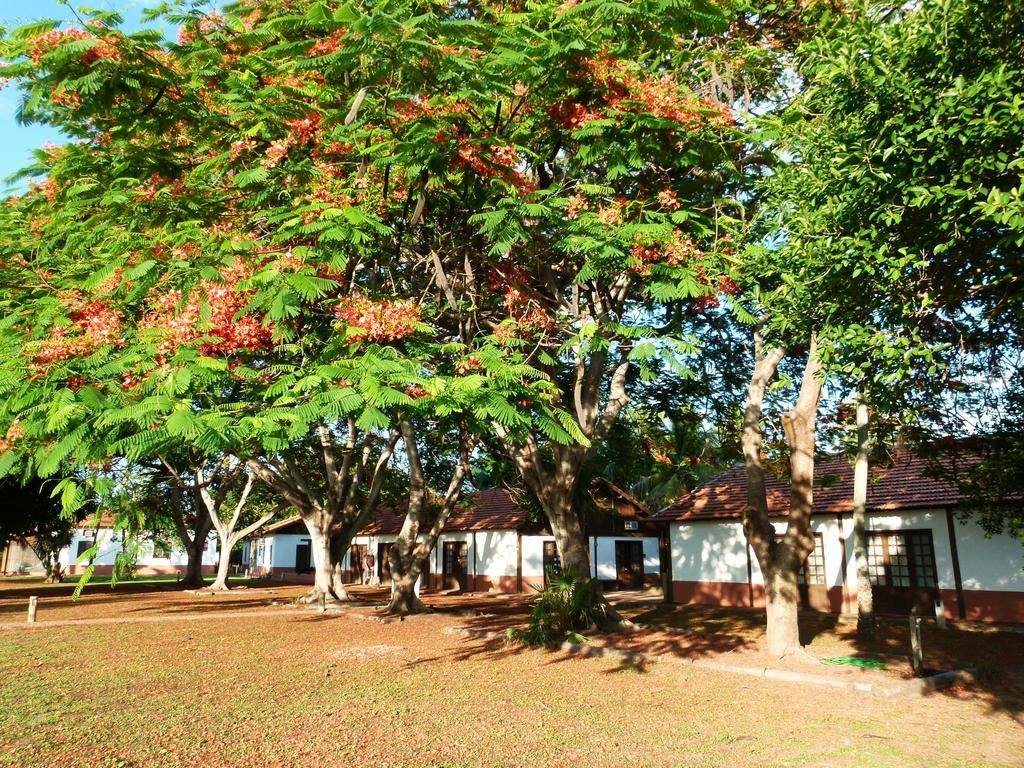 Pousada Fazenda Xaraes Todos os Santos Εξωτερικό φωτογραφία