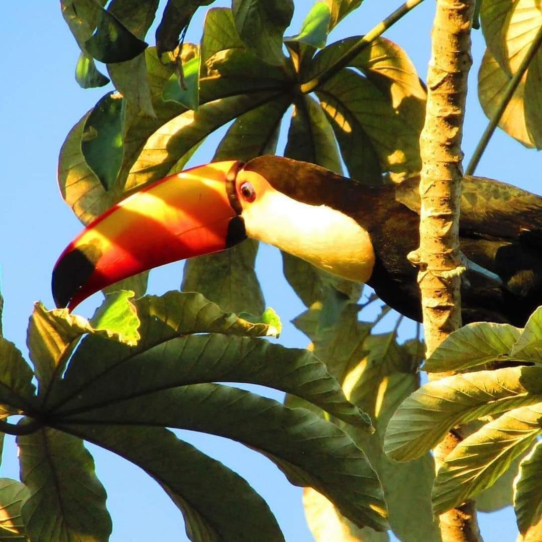 Pousada Fazenda Xaraes Todos os Santos Εξωτερικό φωτογραφία