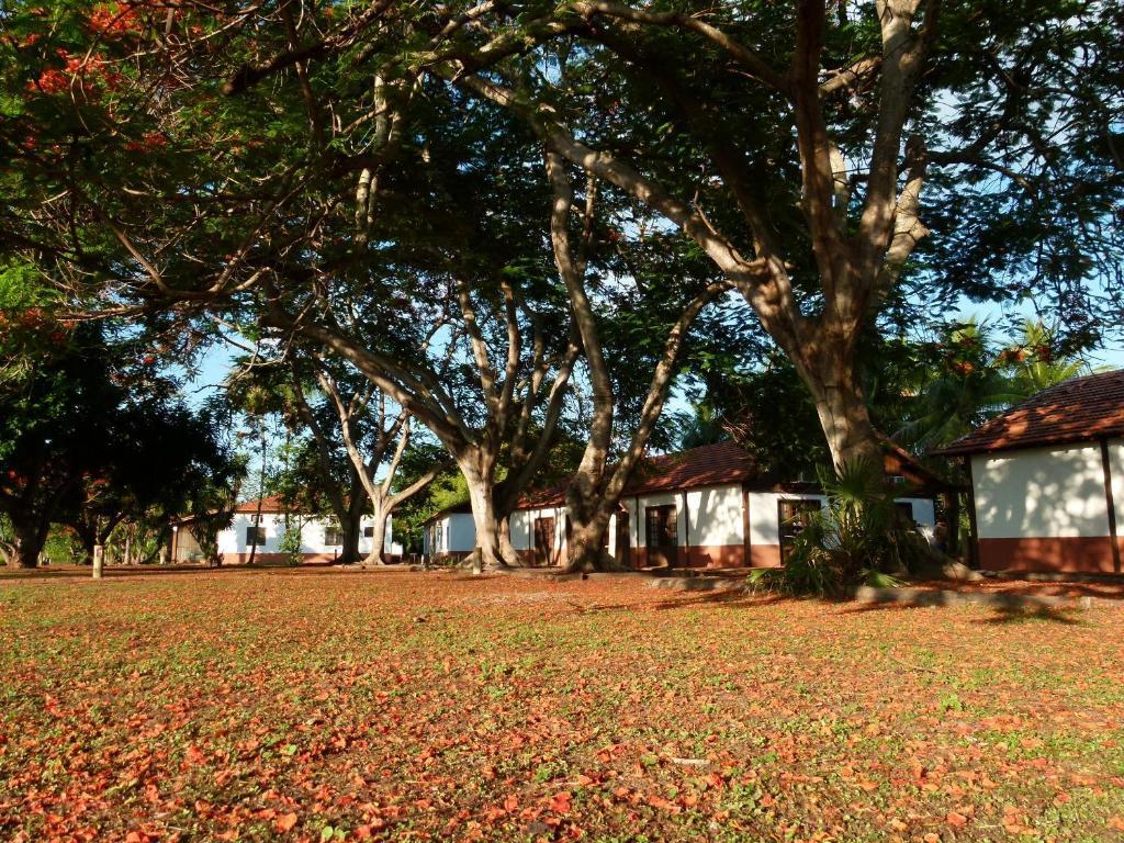 Pousada Fazenda Xaraes Todos os Santos Εξωτερικό φωτογραφία